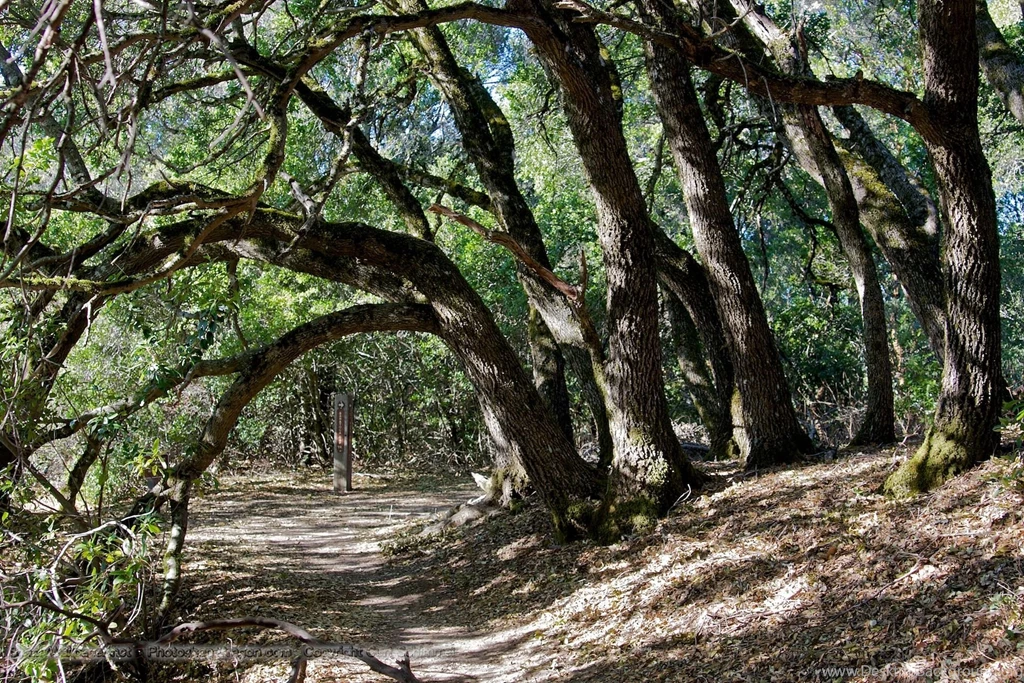 Gallery For Hiking Trails Wallpapers