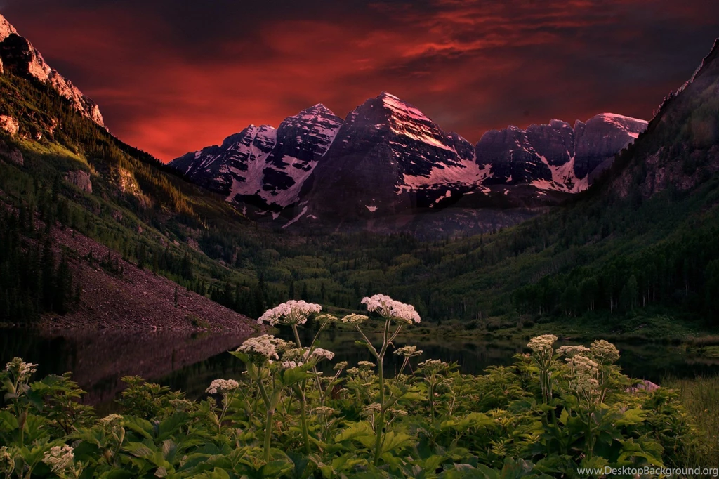 Flowers Clouds Sunset Clouds Lake Mountains Reflection Forest ...