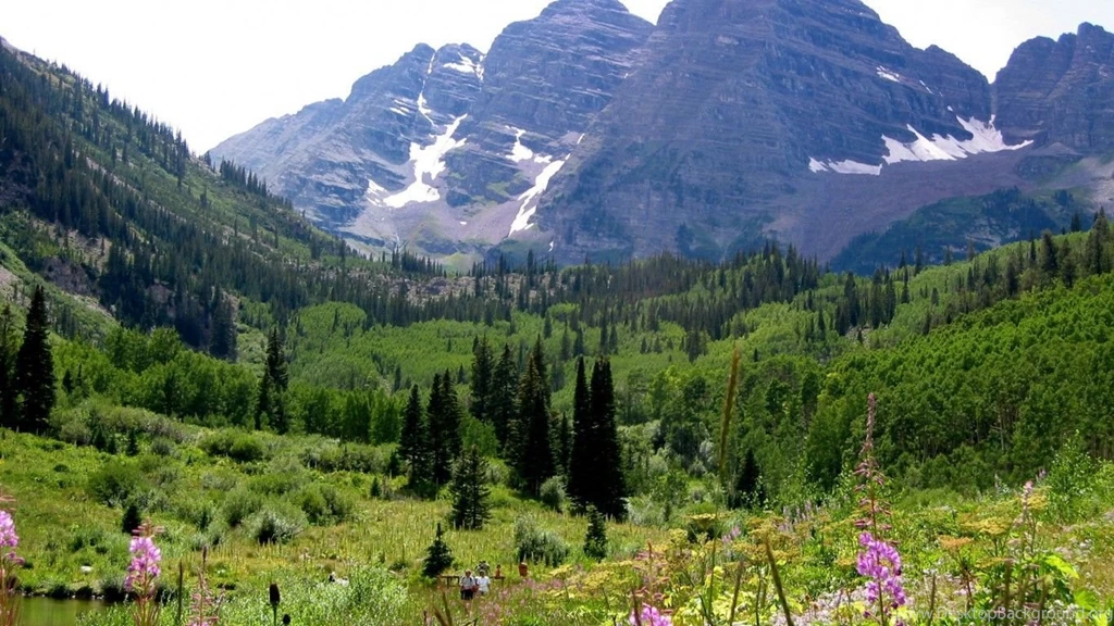 Maroon Bells With Wild Flowers, Aspen, Colorado