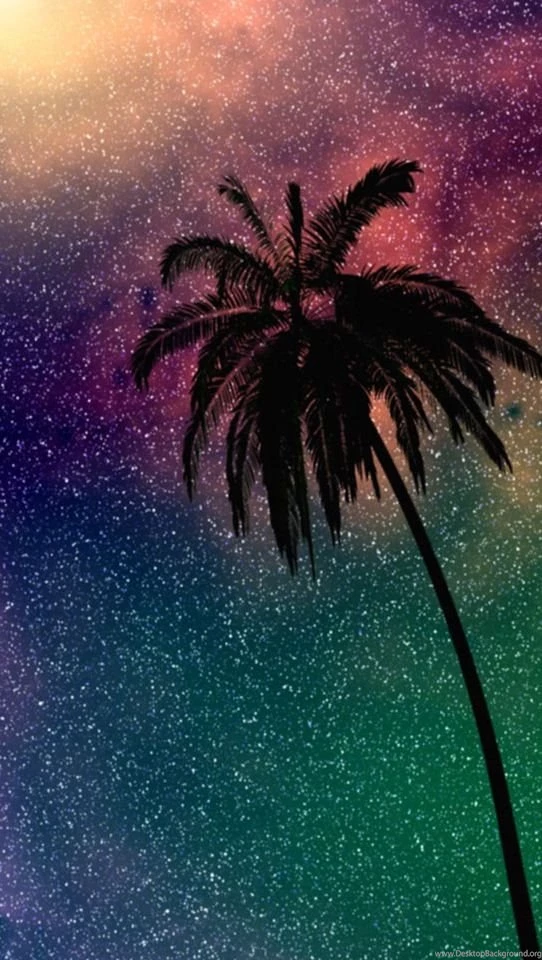 Palm Tree iPhone Backgrounds