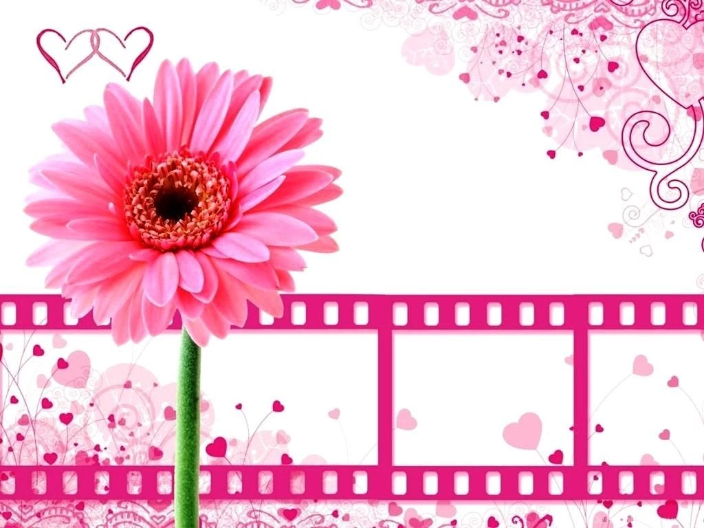 Download Lovable And Adorable Cute Wallpaper: Animal By Free ...