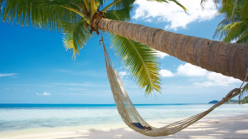 1920x1080 Beach Palm Hammock Wallpapers