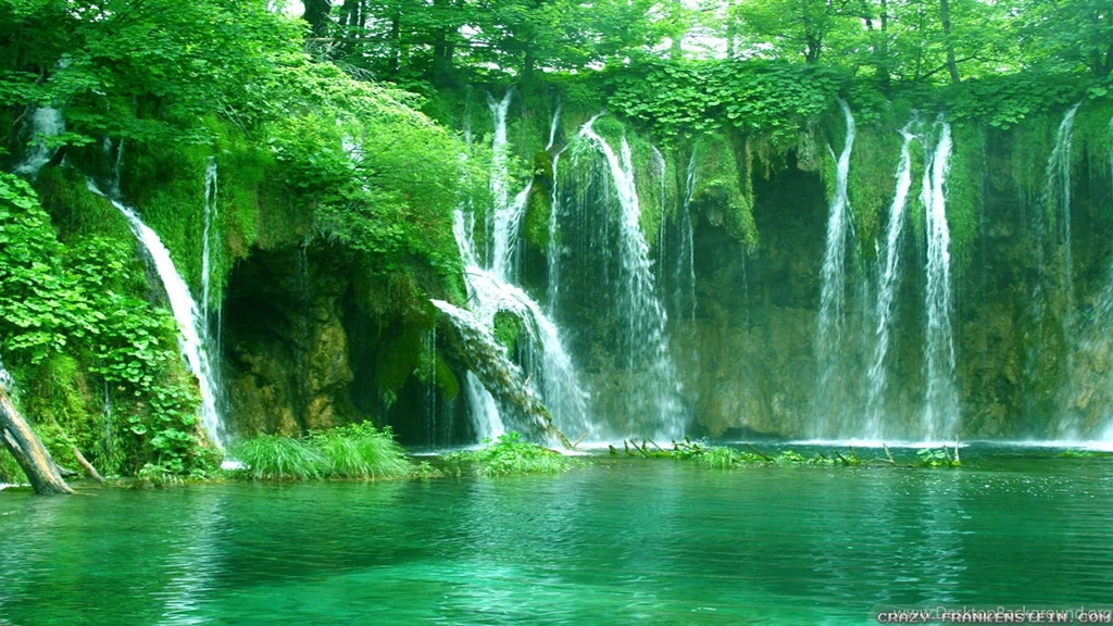 Summer Scenes Wallpapers 3 Crazy Frankenstein