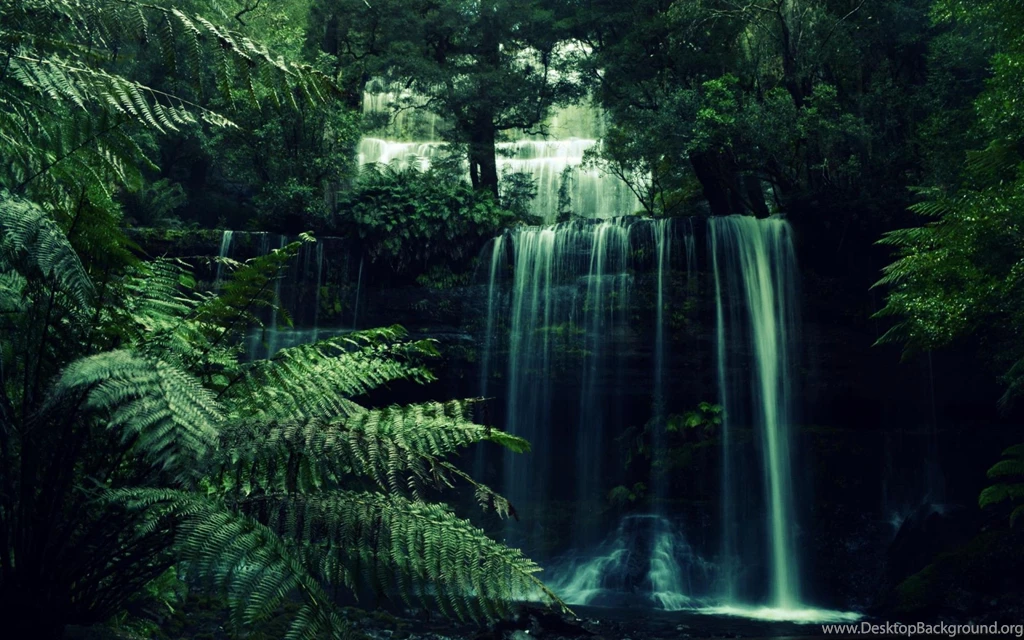 Forest Waterfall Wallpapers