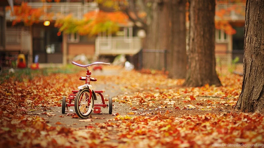 Bicycles In Autumn Wallpapers Desktop