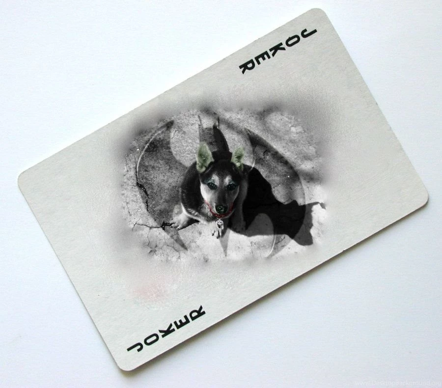 Joker Card By Vikiusha On DeviantArt