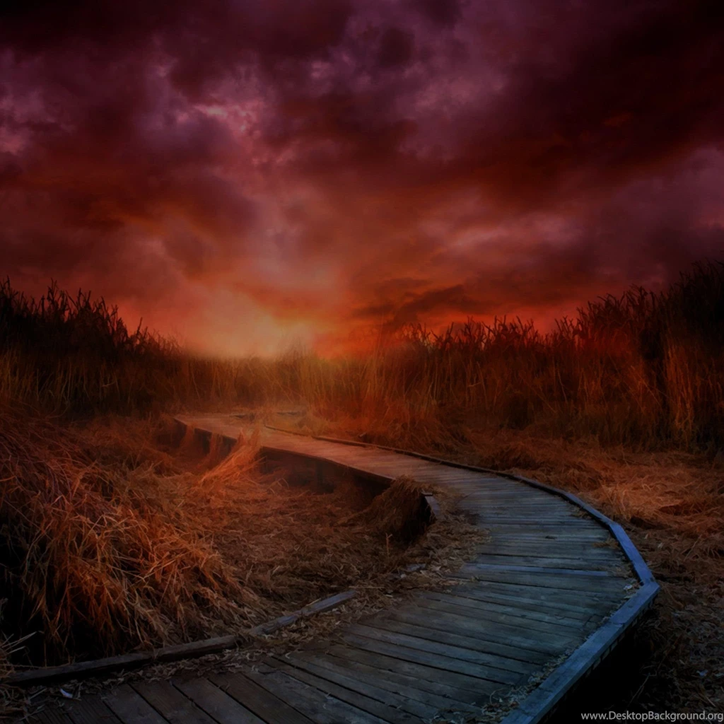 Hd Wallpapers Cool Ipad Mini Wallpapers Hd Apple Ipad Mini Hd ...