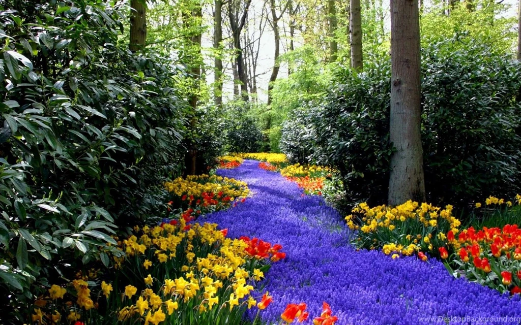 Download Free Spring Wallpapers
