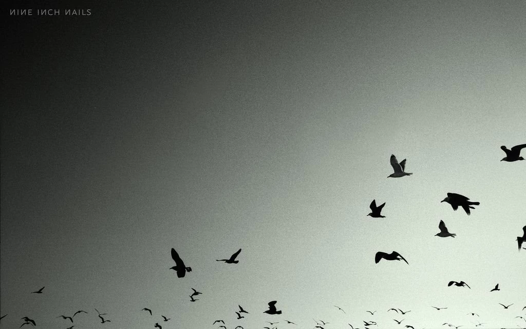 Nine Inch Nails Wallpapers 2880x1800 For MacBook Pro Retina Display ...