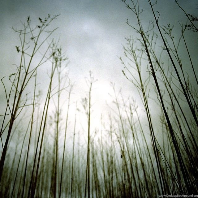 NIN: "Ghosts I IV" iPad Wallpapers