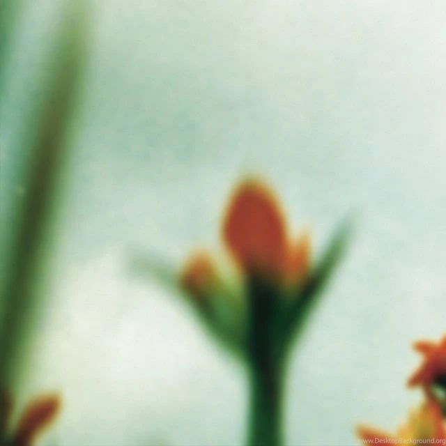 NIN: "The Fragile" iPad Wallpapers