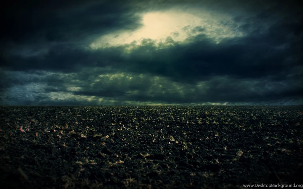 In The Field By SxyfrG On DeviantArt