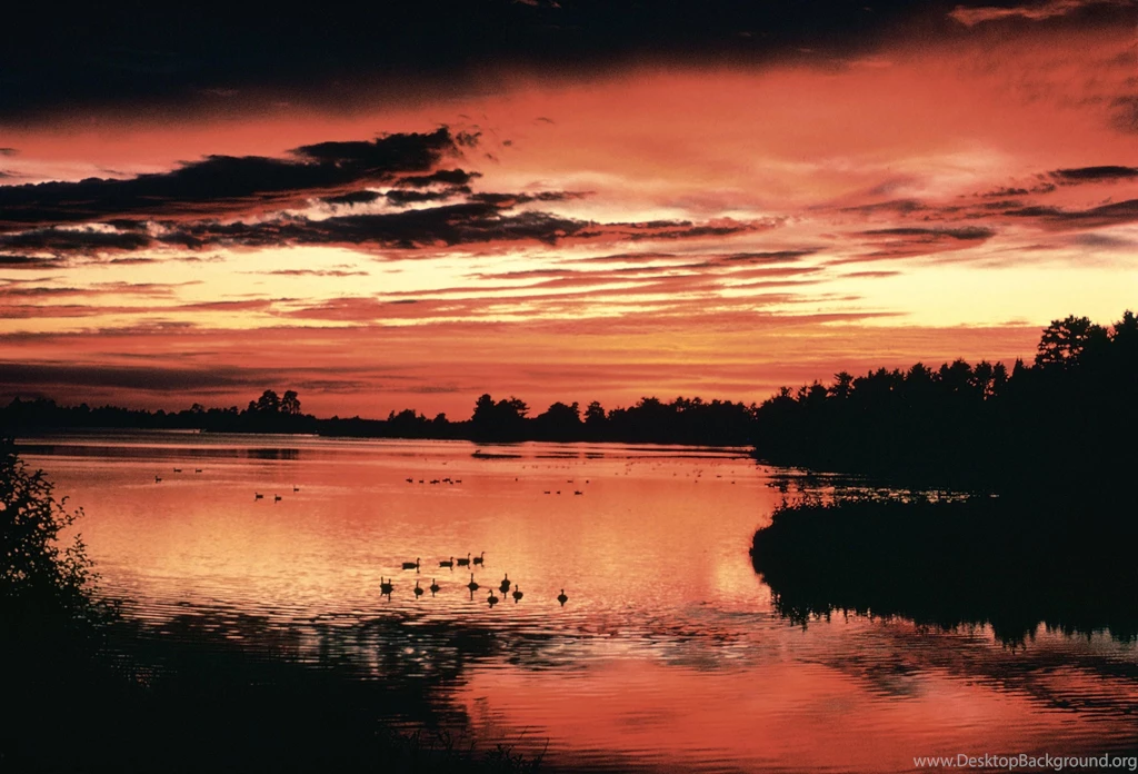 File:Sunset Free Wallpaper.jpg Wikimedia Commons