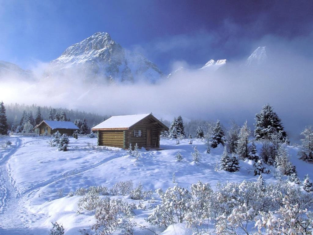 Wallpaper hd for desktop 1024x768 217.jpg