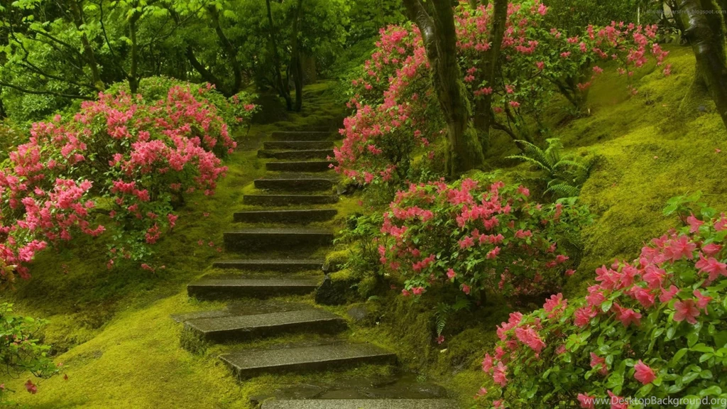Gallery For Beautiful Park Wallpapers