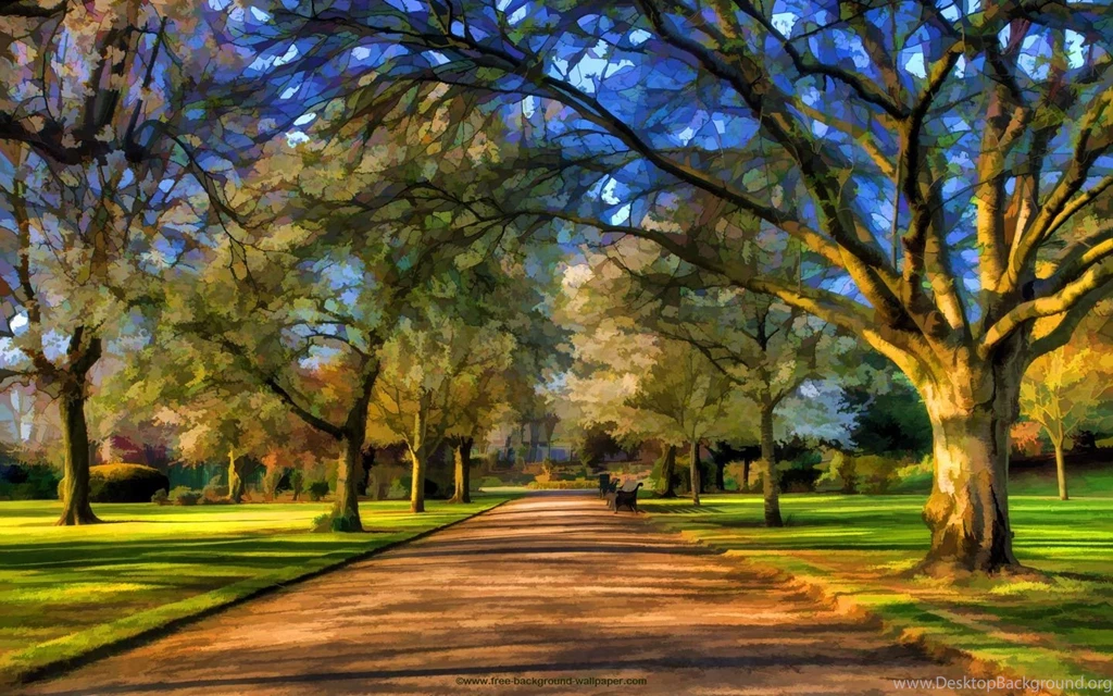 Park In Springtime Artistic Backgrounds Wallpapers   1440x900 Pixels