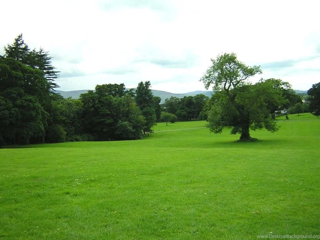 Kilbroney Park, Rostrevor Photos / Desktop Backgrounds / Wallpapers