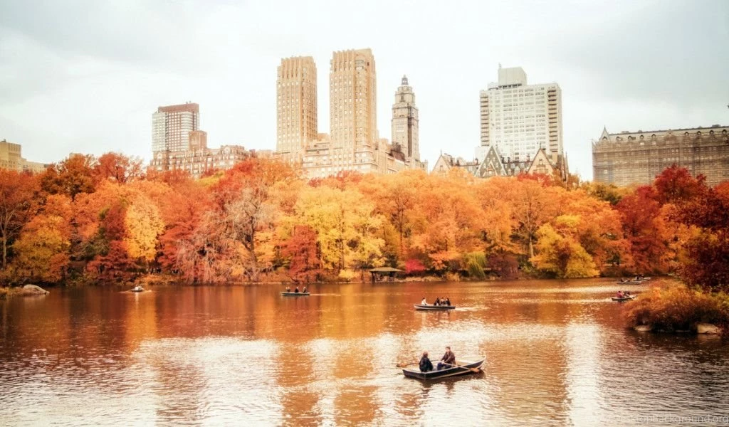CENTRAL PARK BACKGROUNDS QW001