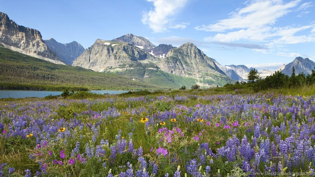 Glacier National Park Wallpapers, Images, Photos, Pictures & Pics
