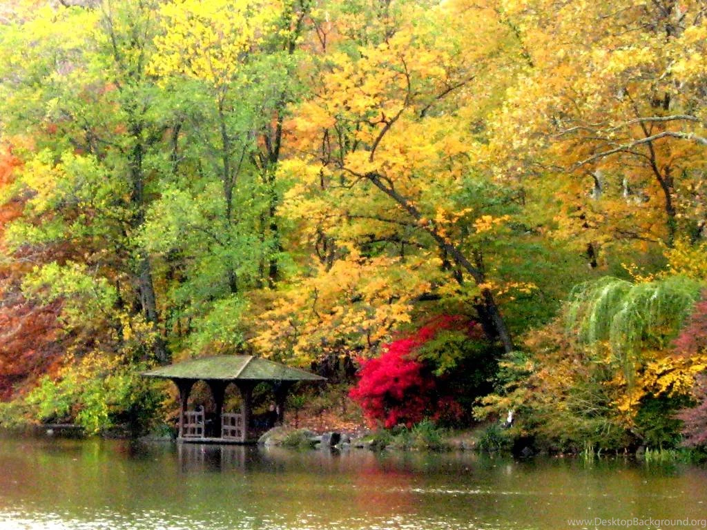 Foliage In The Park Wallpapers