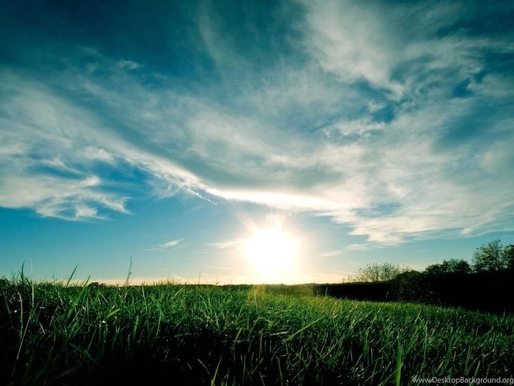Green Grass & Sky Desktop Backgrounds Desktop Backgrounds