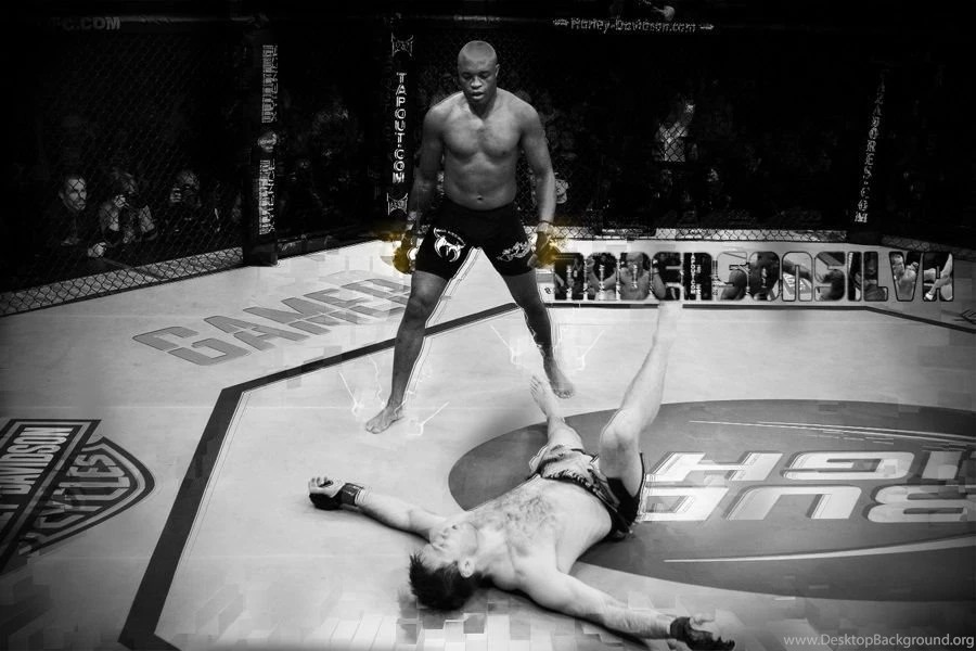Gallery For   Wallpapers Ufc Anderson Silva