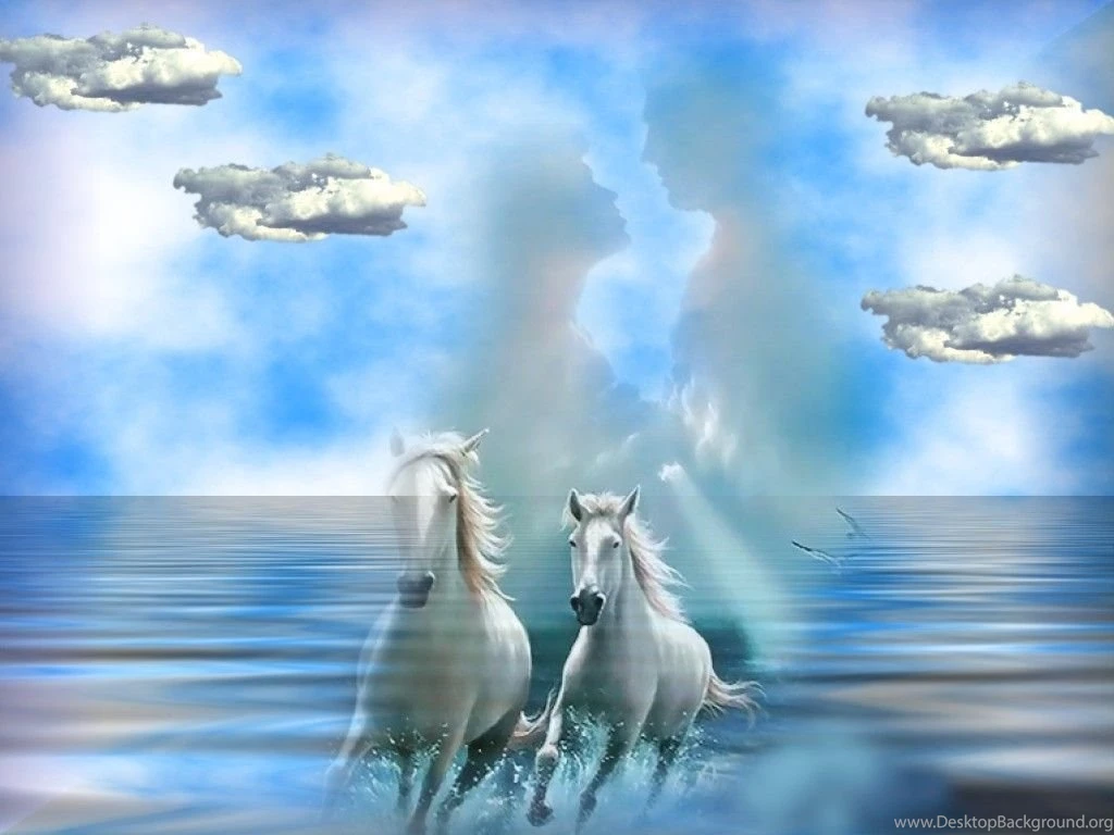 Horses Wallpapers