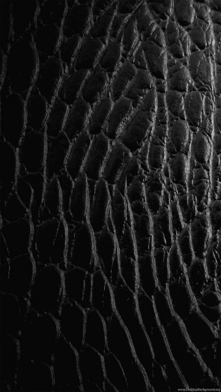 Leather Texture. 12 Backgrounds