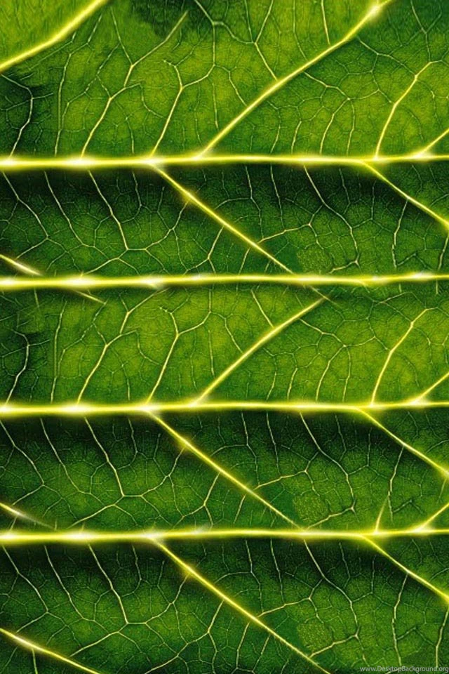 Texture Iphone 5s Wallpapers Download Iphone Wallpapers Ipad