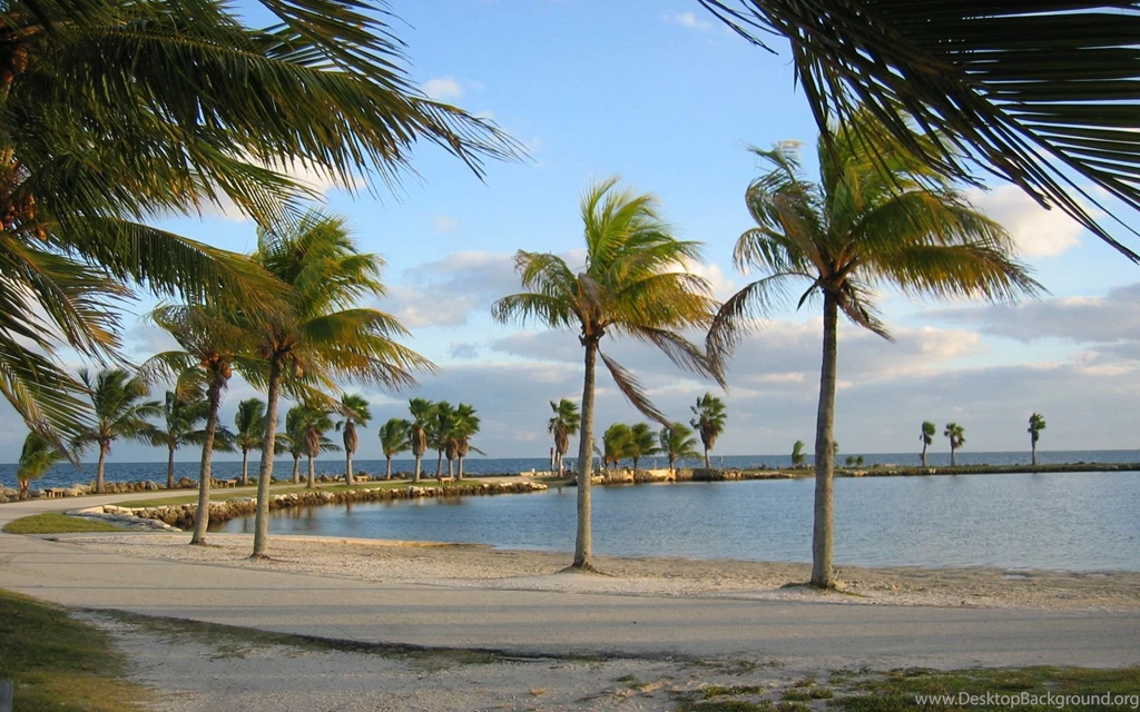 Miami beach desktop wallpapers