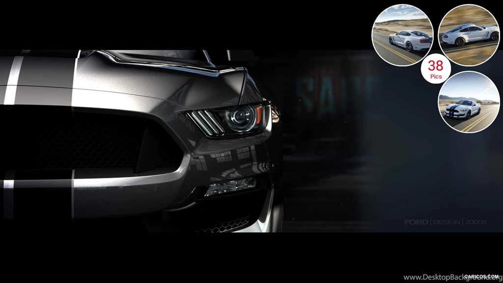 2016 Ford Mustang Shelby GT350 Grill