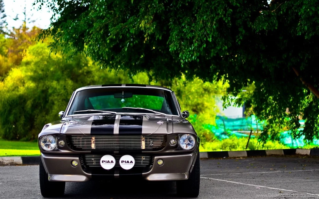 Cars, Ford, Ford Mustang Shelby GT350 :: Wallpapers