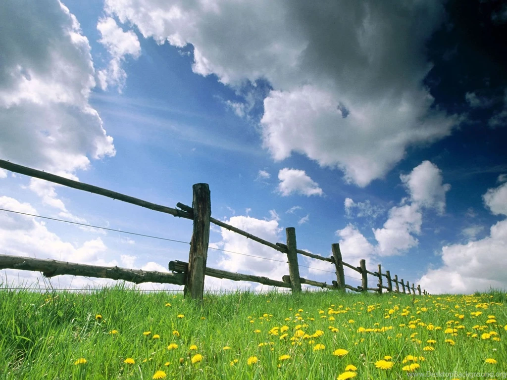 SPRING WALLPAPER BACKGROUND (