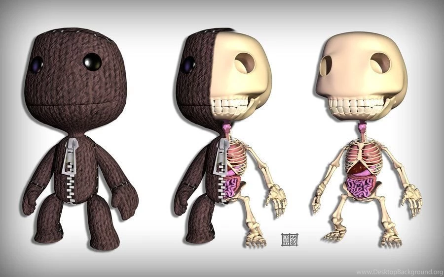 Sackboy Anatomy Wallpapers By Freeny On DeviantArt