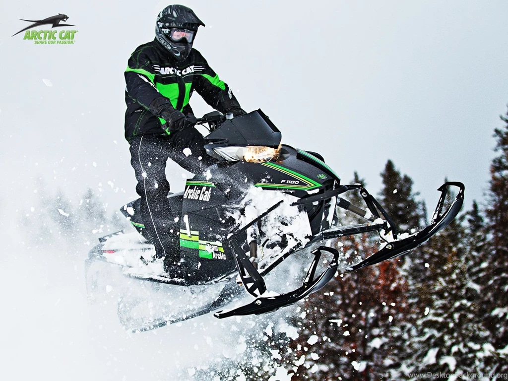 Gallery For Arctic Cat Wallpapers