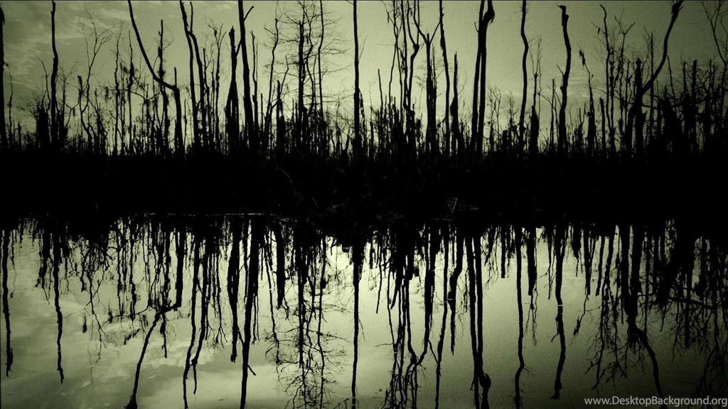 Swamp Backgrounds