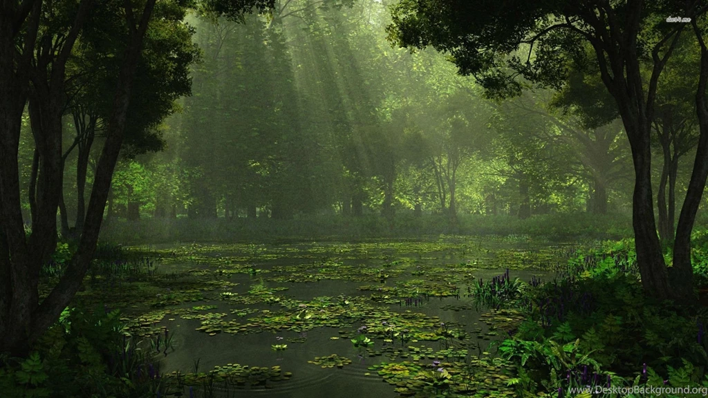 Sunlit Swamp, Forest, Tree, Nature, 1920x1080 HD Wallpapers And ...
