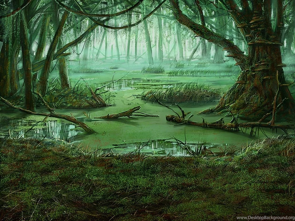 Swamp Backgrounds Wallpapers