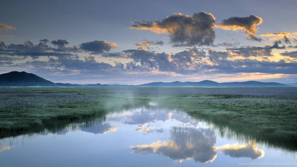 Misty Swamp Wallpapers   Free Wide HD Wallpapers