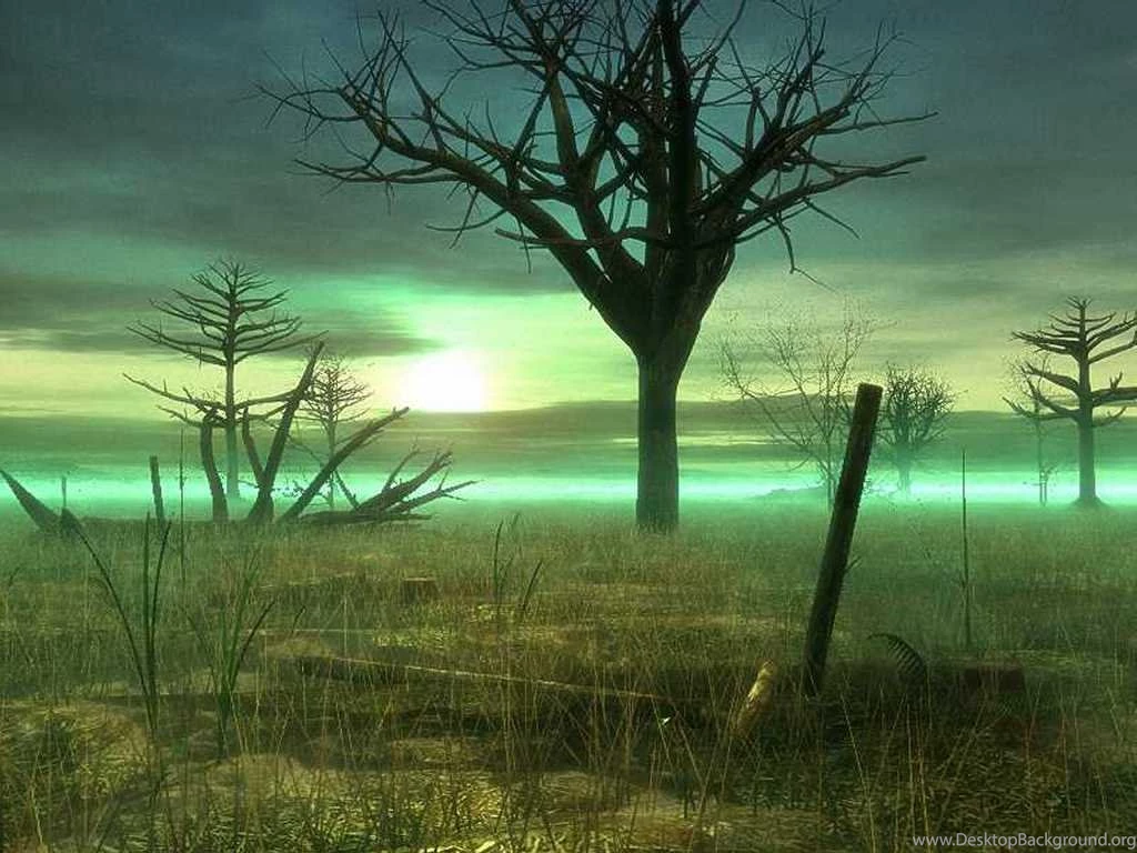 My Free Wallpapers   Fantasy Wallpapers : Sick Swamp