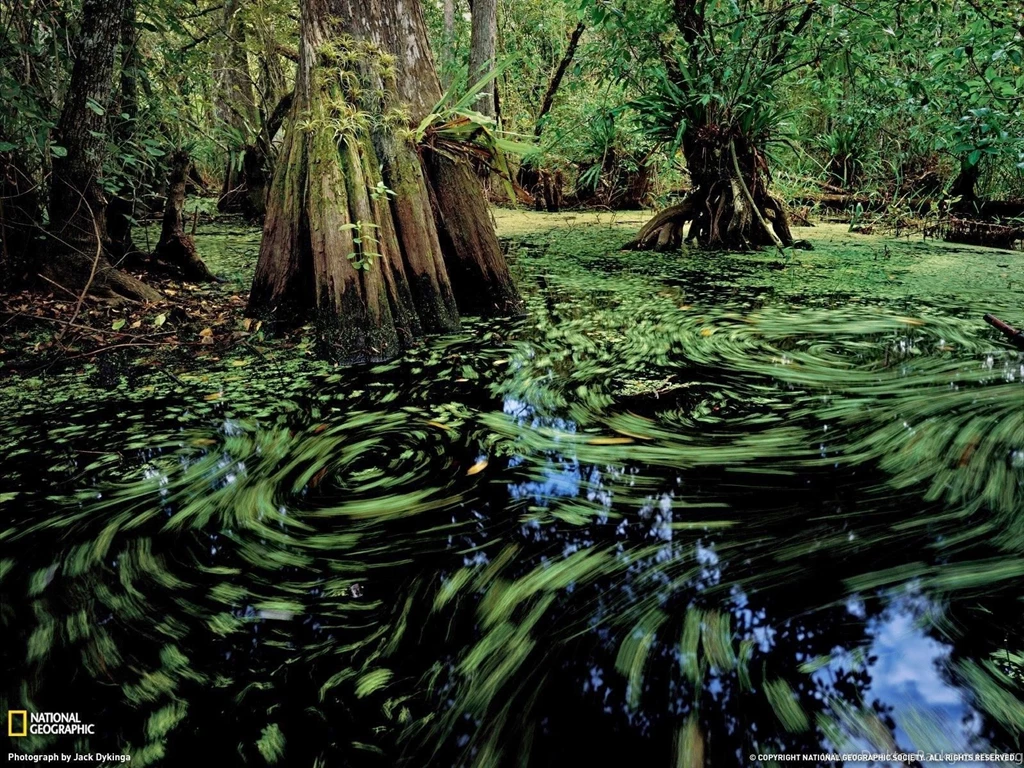 High Wallpaper 1600x1200 046.jpg