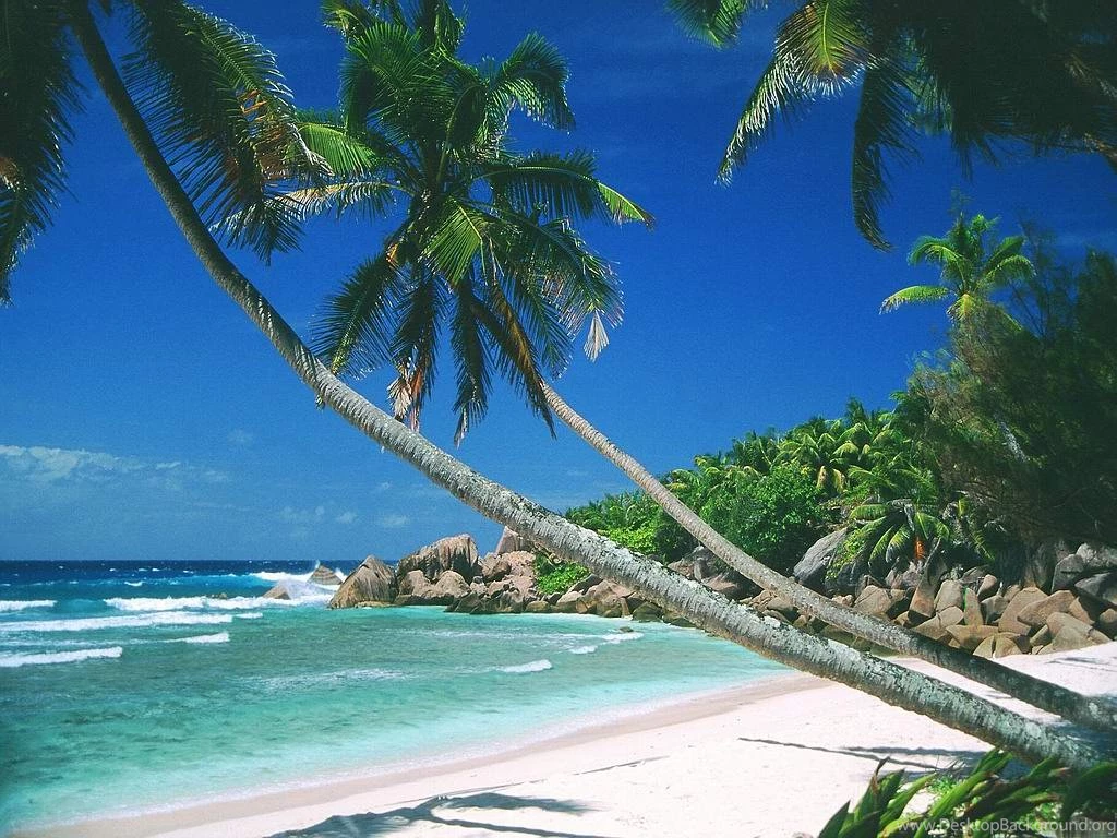 Gallery For Free Desktop Wallpapers Kaanapali Beach