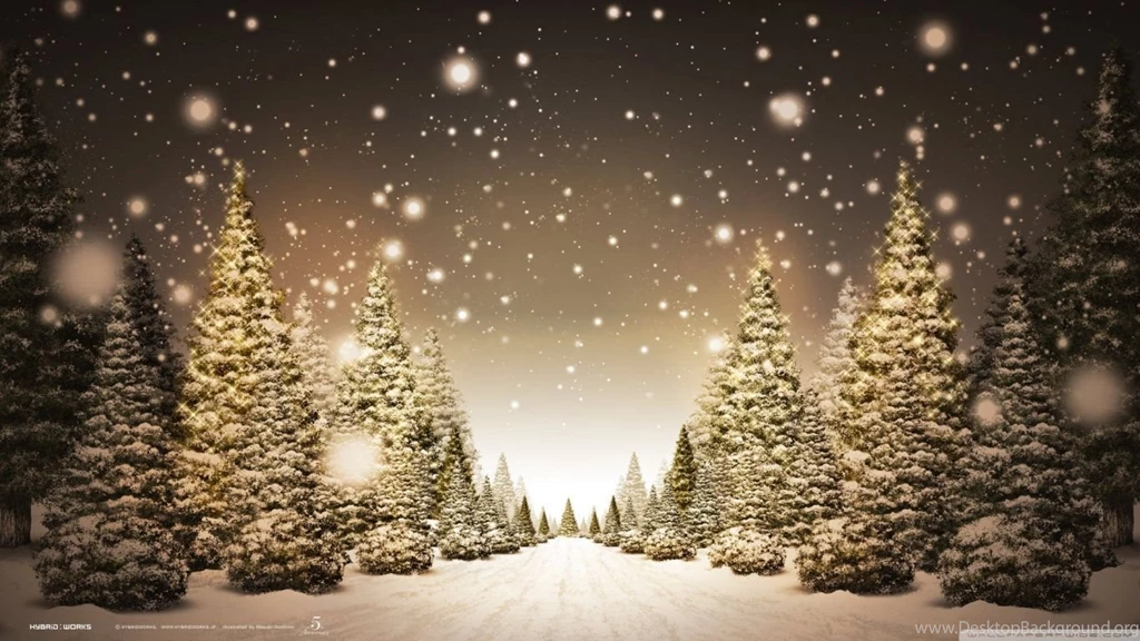 Christmas Forest HD Desktop Wallpapers : Widescreen : High ...