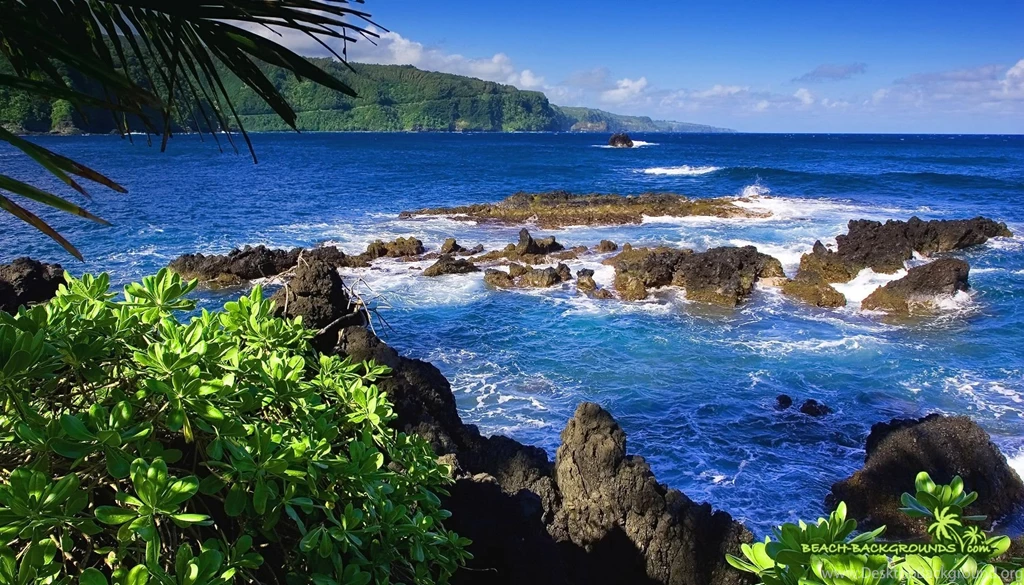 Hawaii Beach Wallpapers 29965