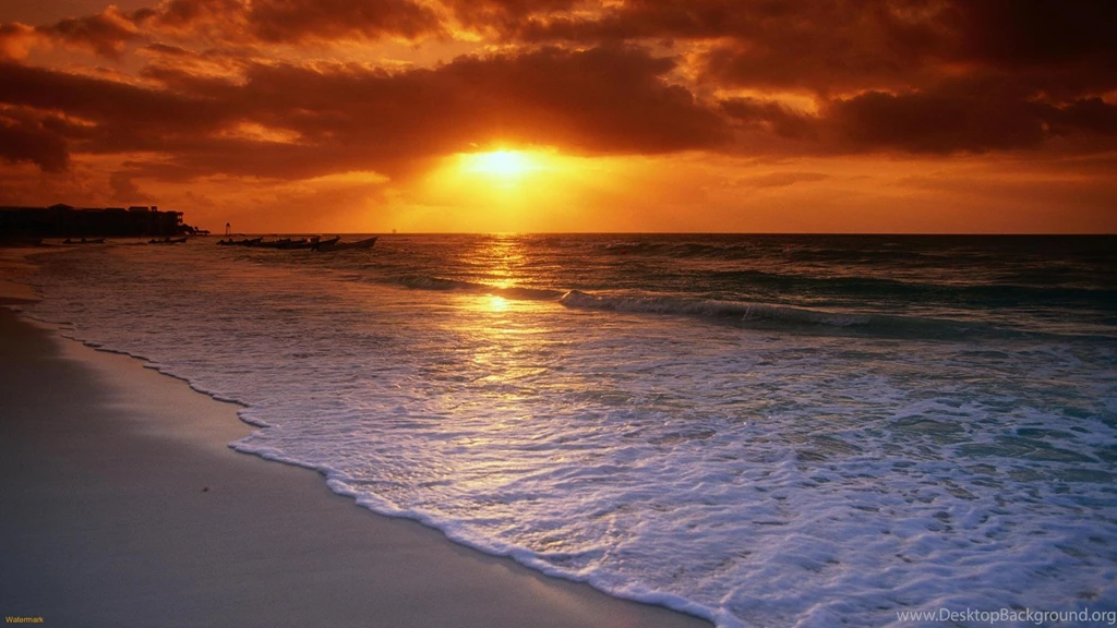 Amazing Orange Sunset At The Beach HD Wallpapers