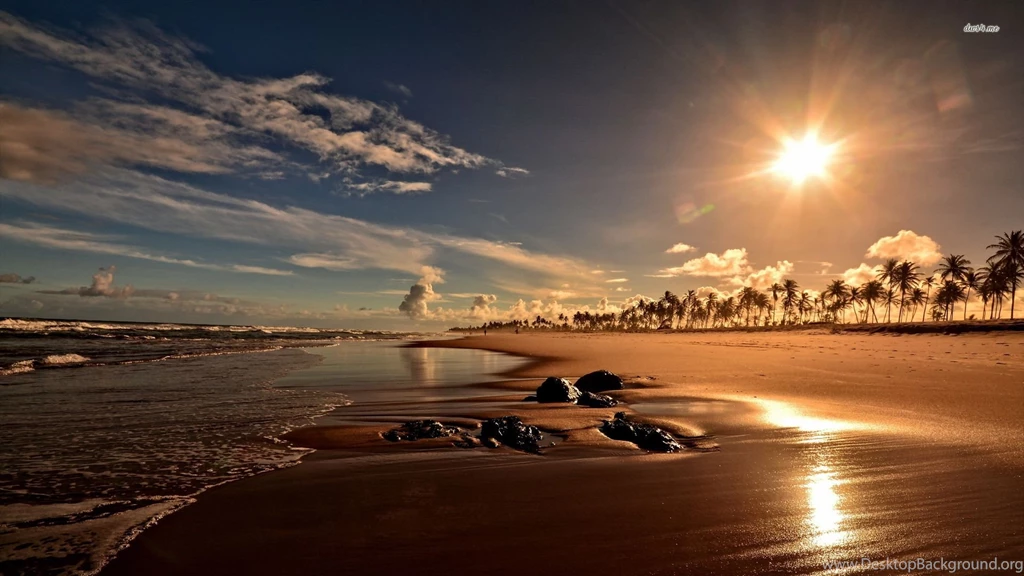 Sun Rising Above The Palm Tree Beach Wallpapers Beach Wallpapers ...