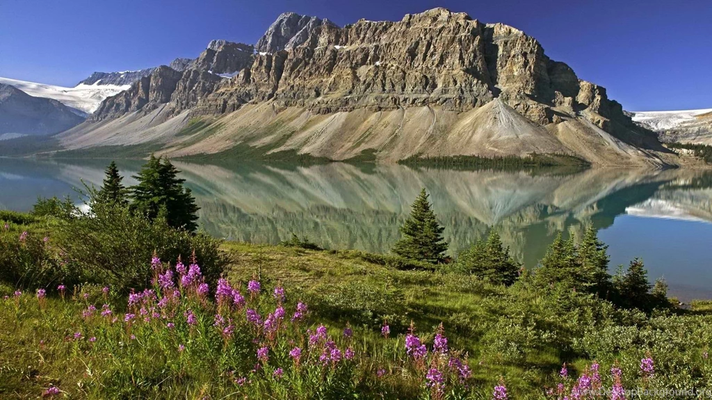 Flowers World Canada Alberta Bows Banff National Park National ...