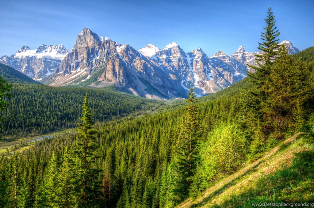 Park Mountain Landscape Banff Forest Canada Wallpapers