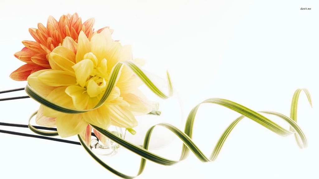 Yellow And Orange Chrysanthemums Wallpapers Flower Wallpapers