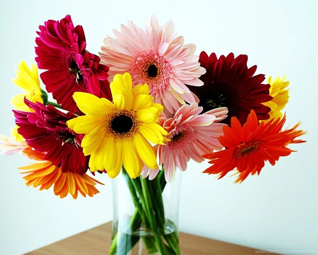 Vase, Bouquet, Chrysanthemum Wallpapers